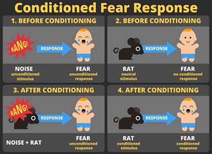 How does conditioning affect behavior?