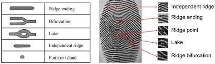 How long are fingerprints good for in PA?