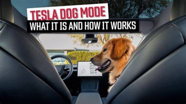How long can a Tesla last on dog mode?
