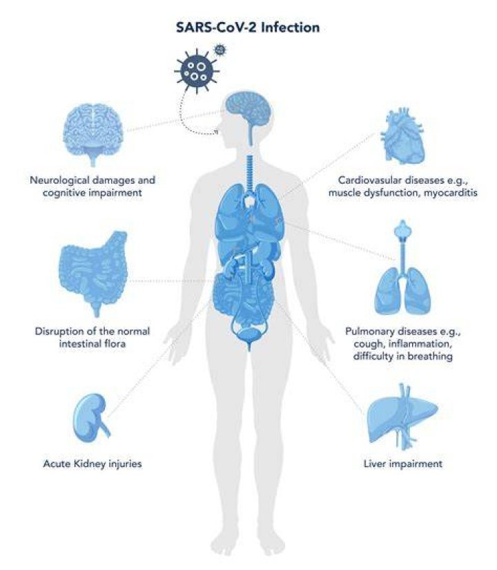 How long can coronavirus live car?