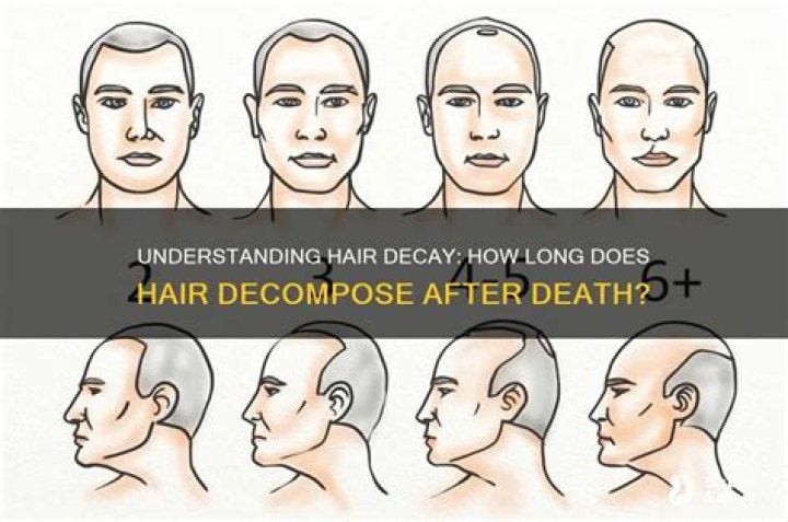 How long does hair decompose after death?