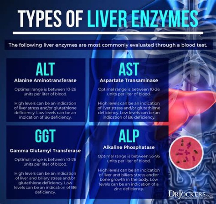 How long does it take to lower liver enzymes?