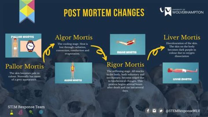 How long does zereth mortis campaign take?