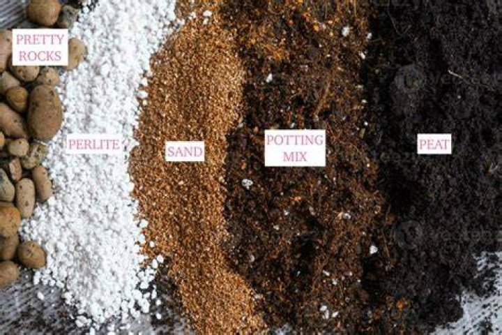 How long is potting soil good for?