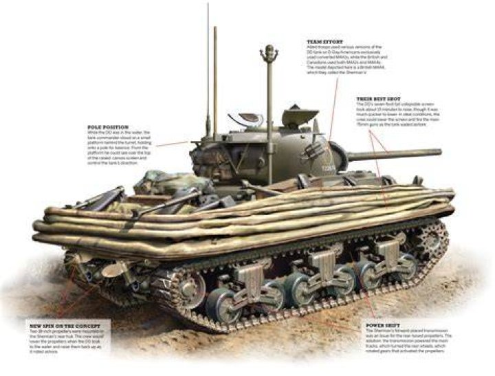 How many DD tanks landed on D Day?