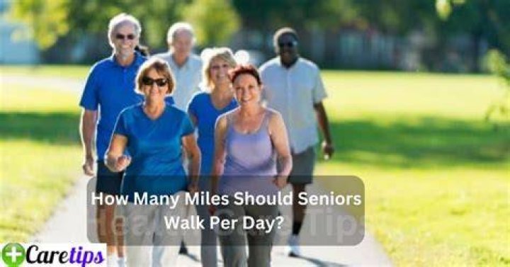 How many miles should seniors walk per day?