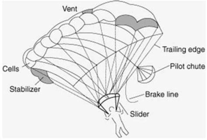 How many parachutes are there when skydiving?