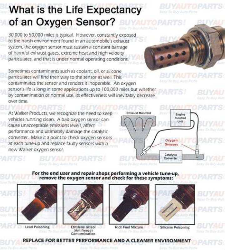 How much does an O2 sensor cost?