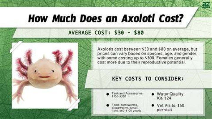 How much does it cost to live in Cuba per month?