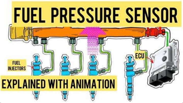 How much is a fuel sensor?
