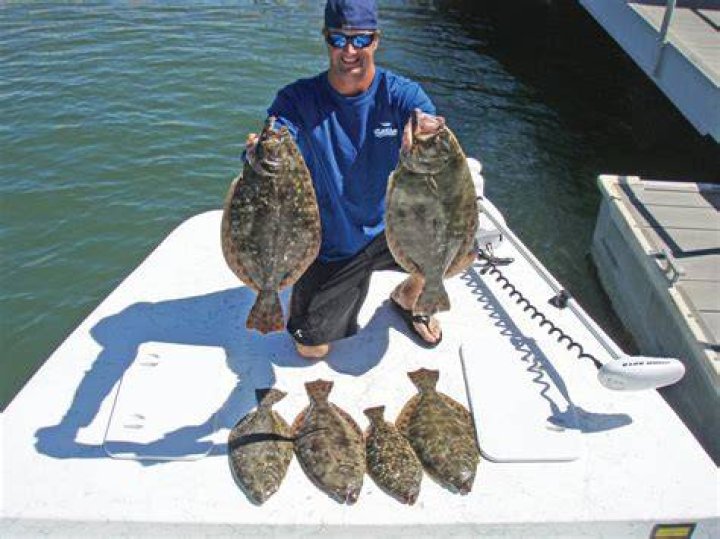 How much is flounder per pound in Florida?
