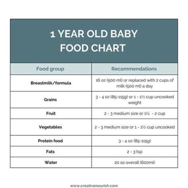 How much TV should a 1 year old have?