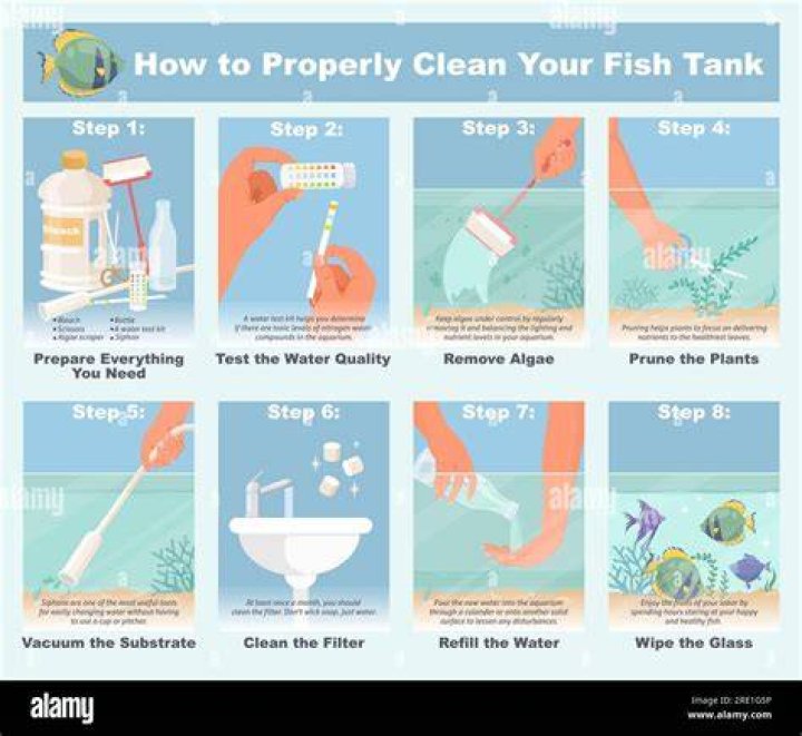 How often do you clean a fish tank water?