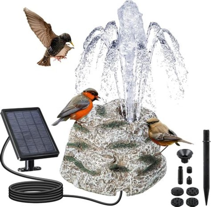 How often should I change the water in my bird bath?