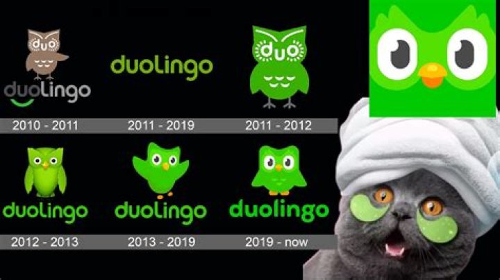 How old is Duolingo?