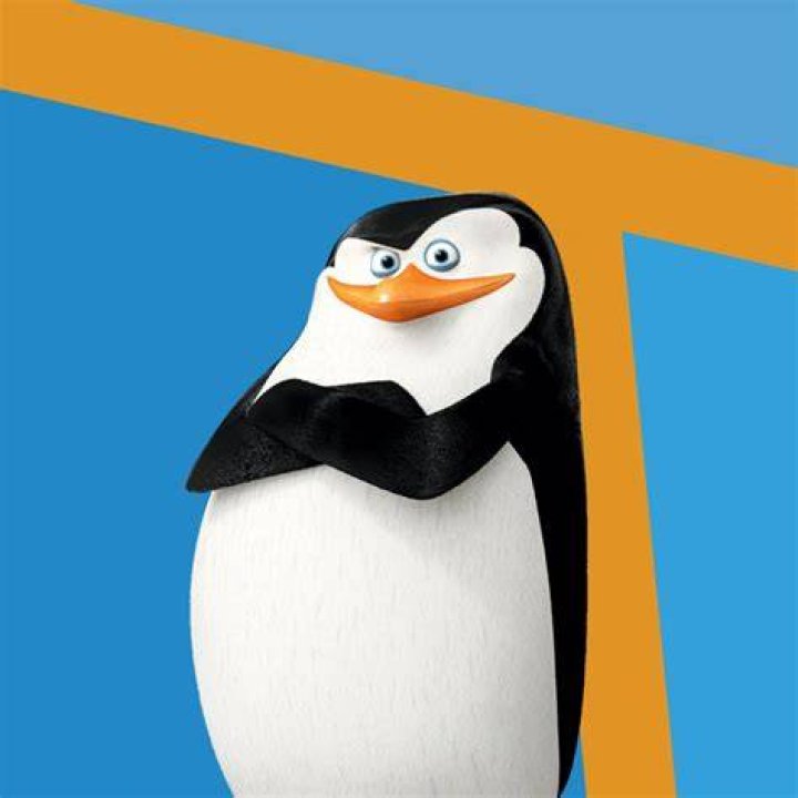 How old is Skipper from Madagascar?