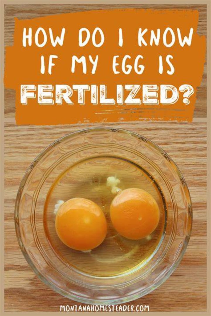 How quickly can you tell if you are pregnant?