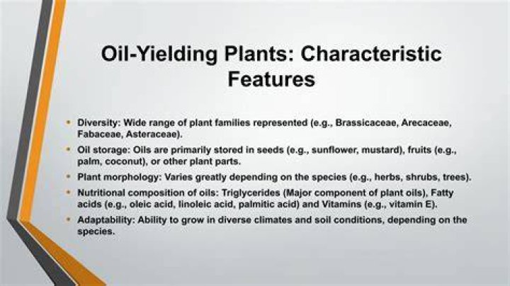 In which of the following family oil yielding plants are present?