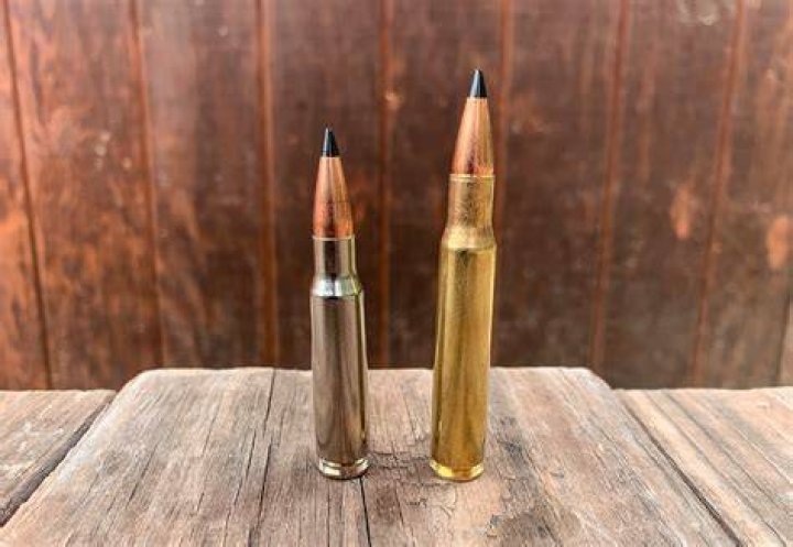 Is a 30-06 still popular?