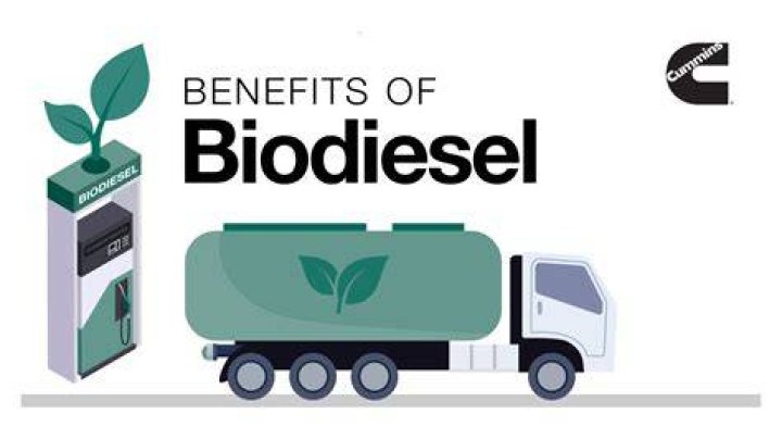 Is biodiesel safe for all diesel engines?