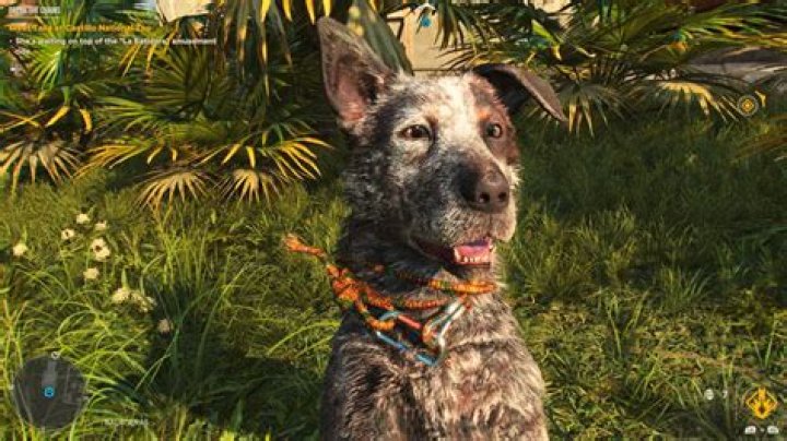Is Boomer in Far Cry 6?