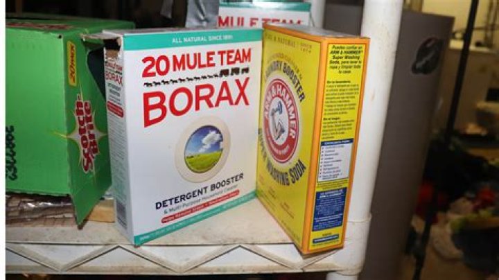 Is borax toxic to birds?