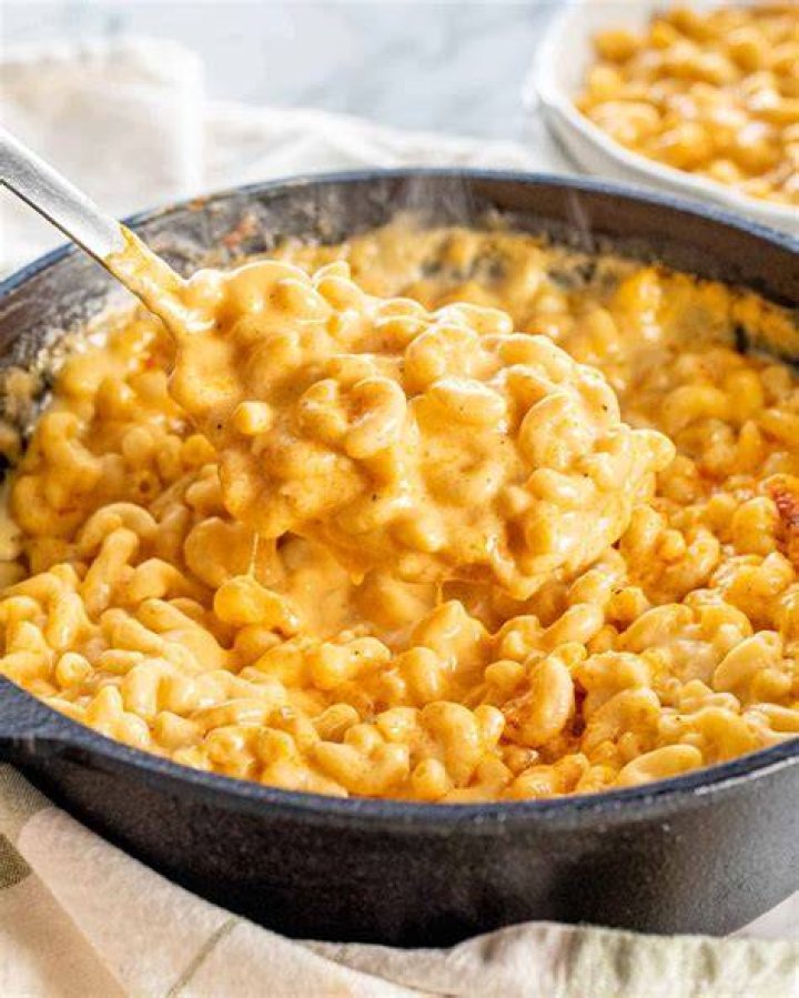 Is cheese good for a dog?
