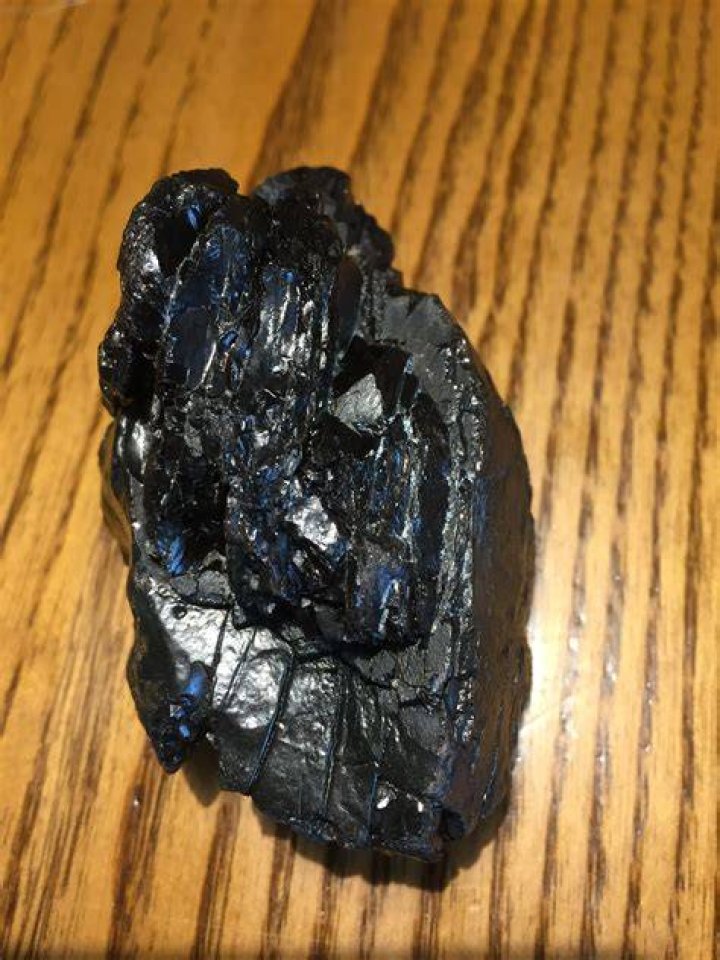 Is coal petrified wood?