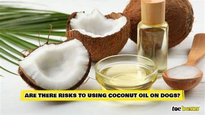 Is coconut oil toxic to dogs?