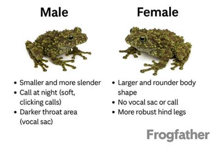 Is Dani male or female?