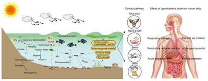 Is dioxin still used today?