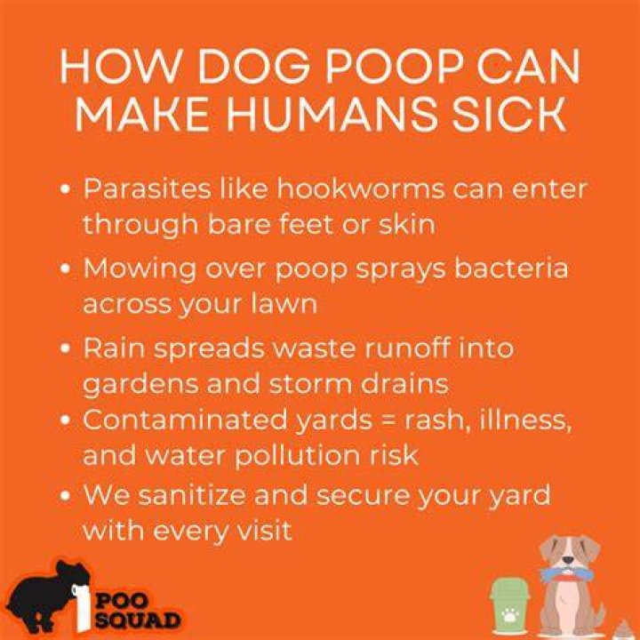 Is dog poop poisonous to humans?