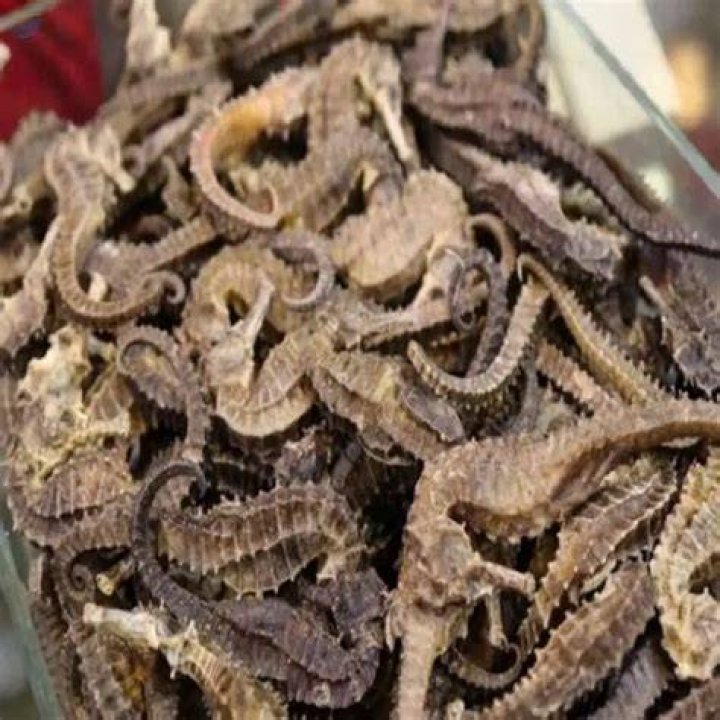 Is dried seahorse a drug?