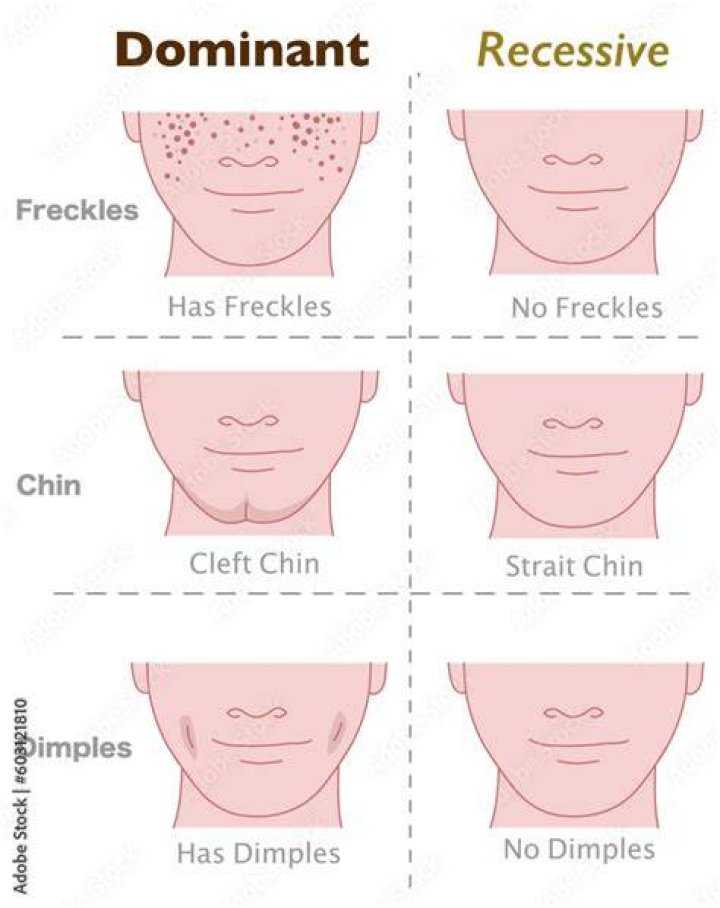 Is freckles dominant or recessive?