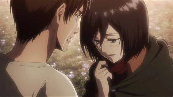 Is Mikasa married to Eren?