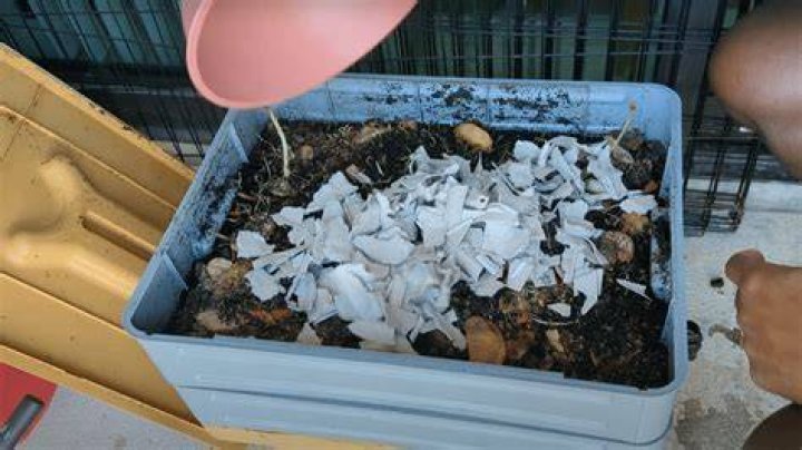 Is newspaper safe to compost?