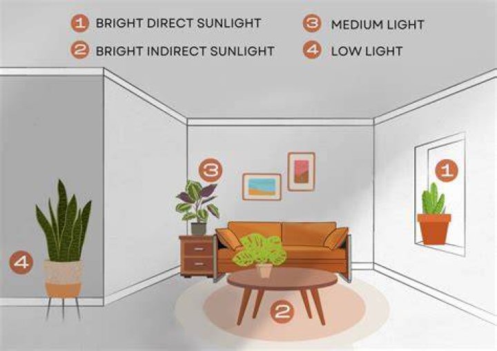Is shade considered indirect sunlight?