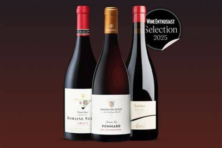 Is Syrah like Pinot Noir?