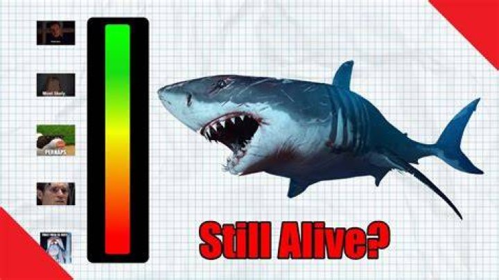 Is the Megalodon still alive?