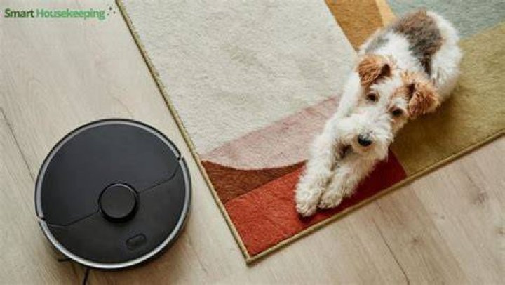 Is there a robot vacuum that avoids dog poop?