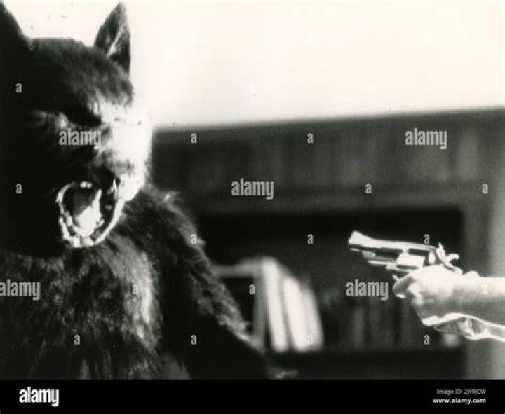 Is turning into a werewolf painful?
