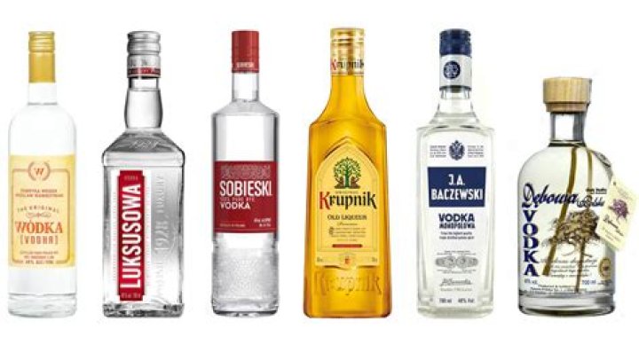 Is vodka Polish or Russian?