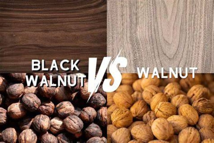 Is walnut a porous wood?