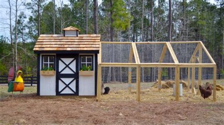 Should a chicken coop be insulated?