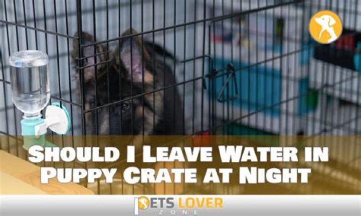 Should I leave water in puppy crate?