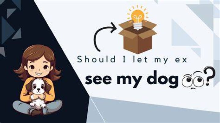 Should I let my dog say hello to other dogs?