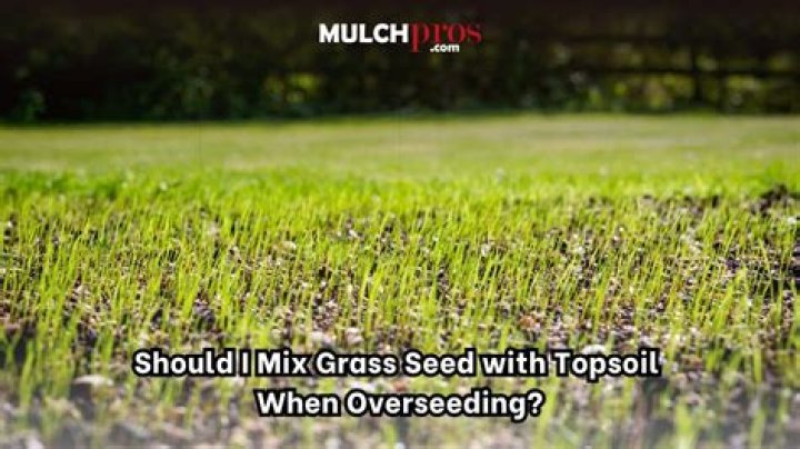 Should I mix sand with topsoil for grass?