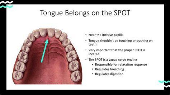 Should tongue rest on roof of mouth?