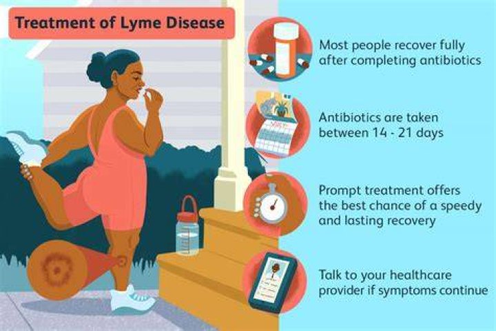 Should you rest with Lyme disease?