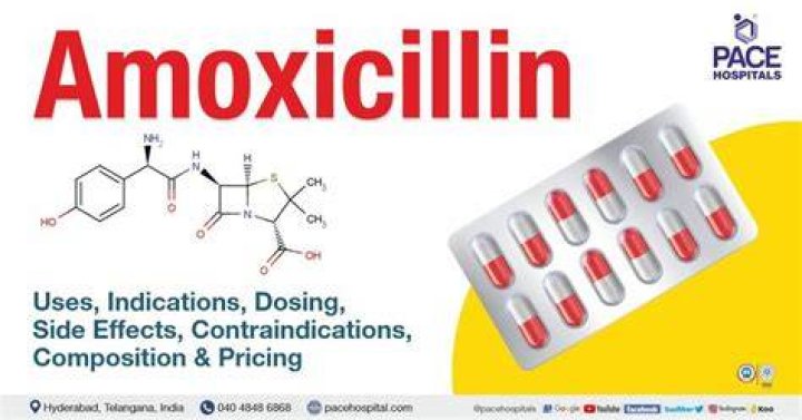 What's amoxicillin do?